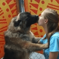 Cirkled In Scholarship Winner Kaitlyn